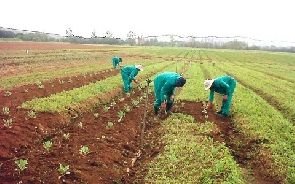 Some Farmers working on their Farms 